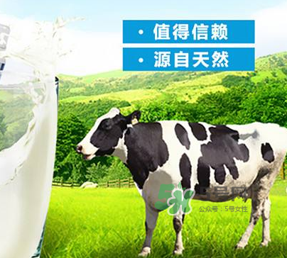 牛初乳是奶粉嗎？牛初乳跟奶粉的區(qū)別