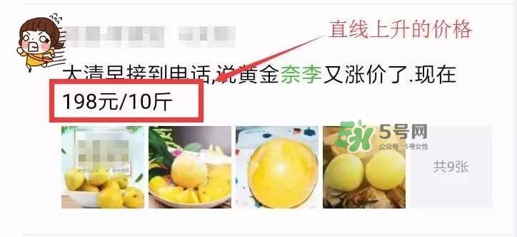 黃金奈李多少錢一斤？黃金奈李價(jià)格