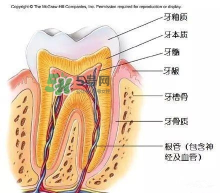 regenerate牙膏多少錢？regenerate牙膏專柜價(jià)格