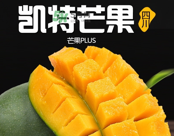 凱特芒果多少錢一斤？凱特芒果價格