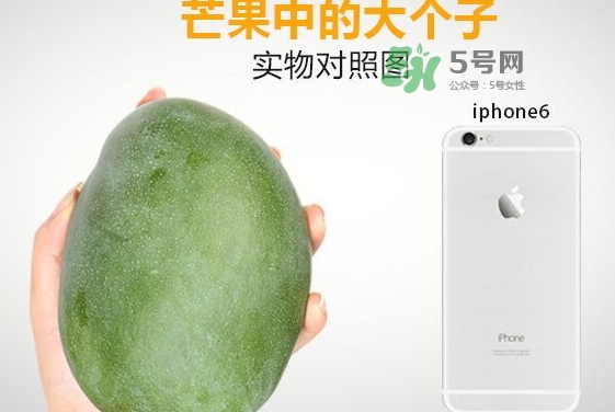 凱特芒果多少錢一斤？凱特芒果價格
