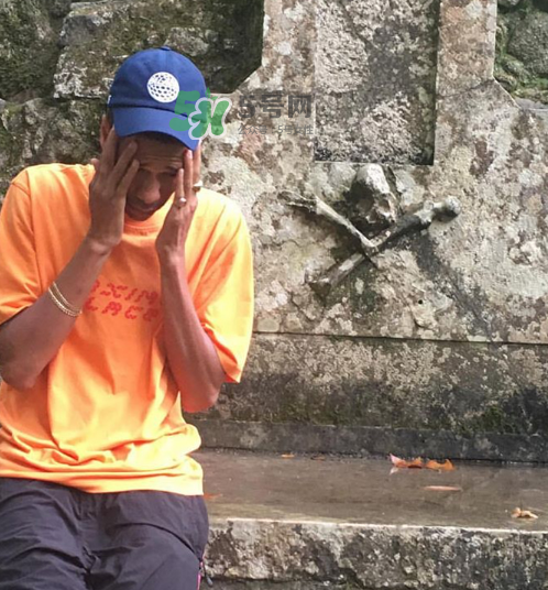 palace2017秋冬新款tri ferg tee什么樣_什么時候發(fā)售？