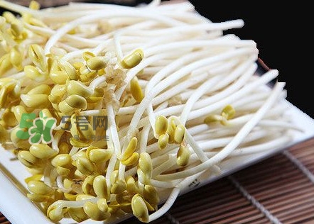 豆芽有根好還是無根好？無根豆芽與有根豆芽區(qū)別