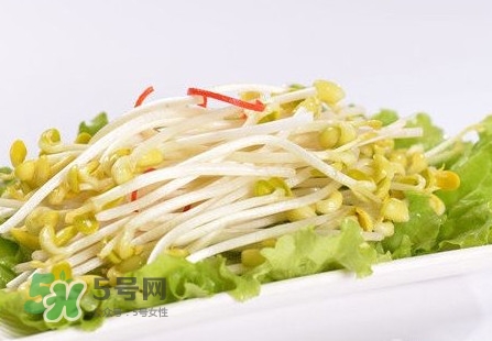 豆芽怎么保存？新鮮豆芽放冰箱能放幾天？