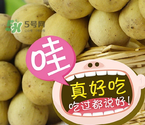 龍宮果孕婦可以吃嗎？懷孕可以吃龍功果嗎