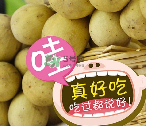 龍宮果多少錢一斤？龍功果價格表