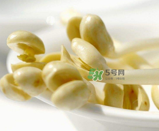 花生芽炒菜吃可以嗎？花生芽能吃嗎