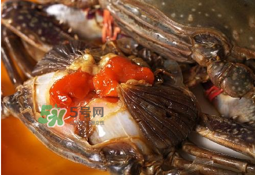 梭子蟹有蟹黃嗎？梭子蟹蟹黃在哪里？