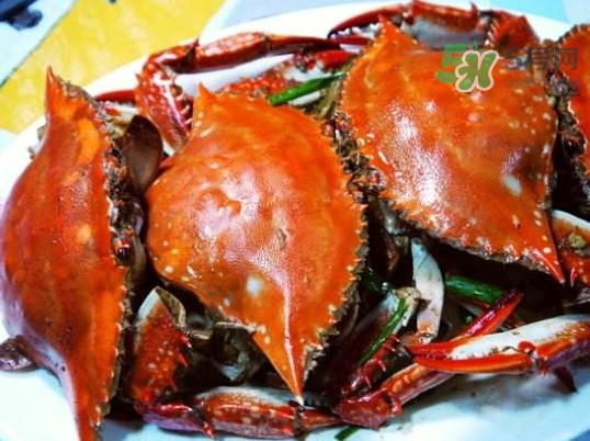 梭子蟹可以煮嗎？梭子蟹怎么煮？