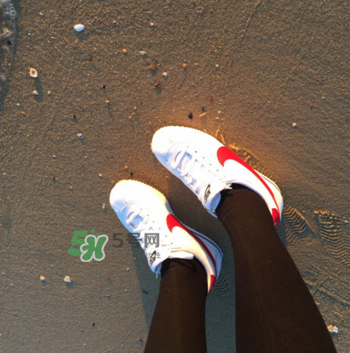 nike cortez jewel皮革版多少錢？耐克阿甘鞋皮革款價(jià)格