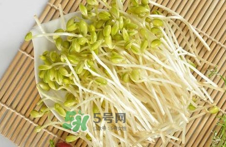 豆芽有根好還是無根好？無根豆芽與有根豆芽區(qū)別