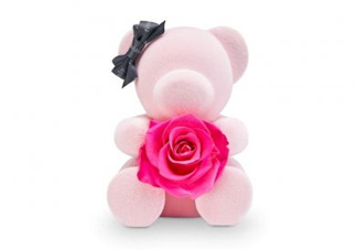 roseonly熊多少錢？roseonly玫瑰熊多少錢？