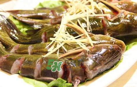 黃蜂魚(yú)怎么做好吃？黃蜂魚(yú)怎么釣