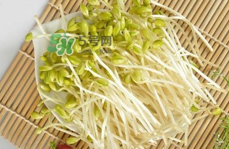 豆芽怎么保存？新鮮豆芽放冰箱能放幾天？