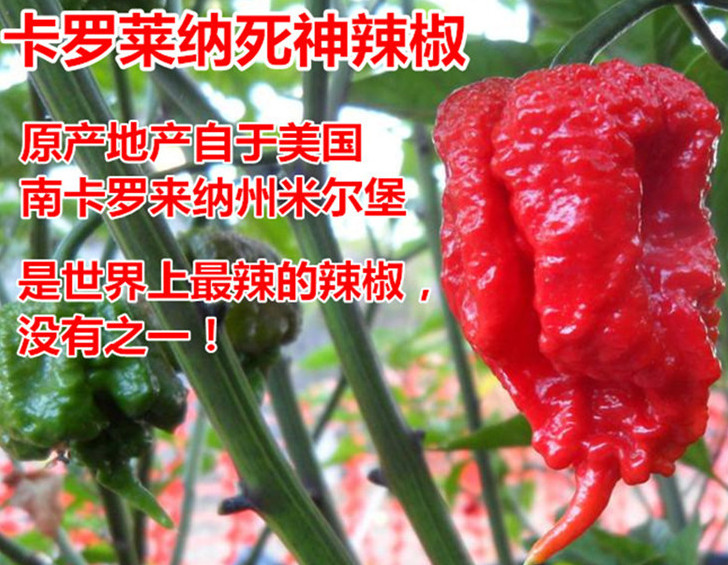 死神辣條多少錢一盒？死神辣條能吃嗎