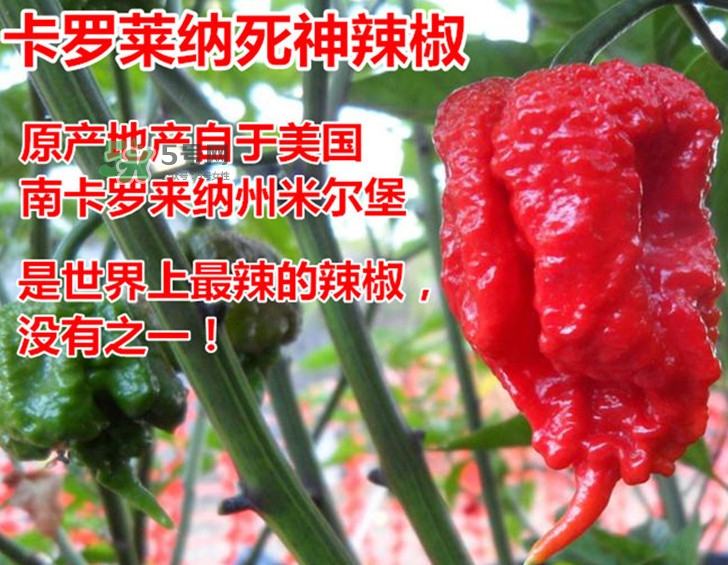 死神辣條哪兒有賣？哪里可以買到死神辣條