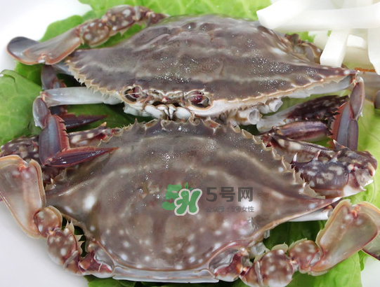 梭子蟹為什么這么貴？梭子蟹和大閘蟹哪個貴？