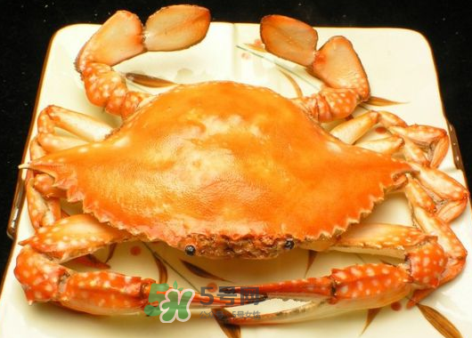 飛蟹什么時候最肥？飛蟹幾月份最肥？
