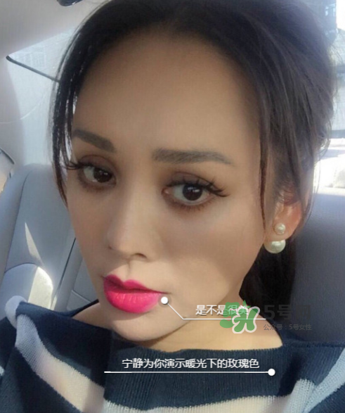 ysl208是什么顏色？ysl208適合黃皮嗎？