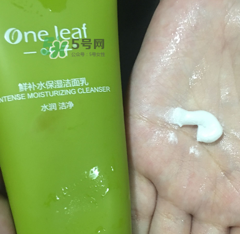 一葉子鮮補水洗面奶怎么樣？一葉子鮮補水潔面乳好用嗎？