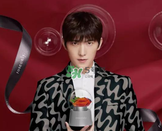 roseonly音樂盒多少錢？roseonly音樂盒歌曲名