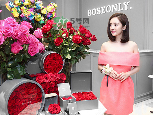 roseonly音樂盒多少錢？roseonly音樂盒歌曲名