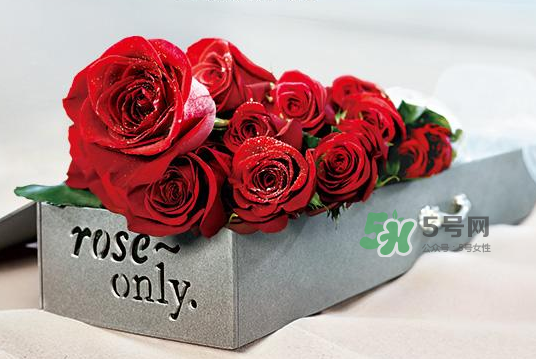 roseonly永生花可以保存多久？roseonly永生花保養(yǎng)