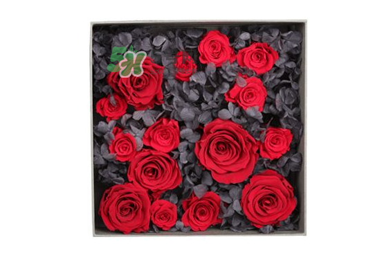 roseonly永生花可以保存多久？roseonly永生花保養(yǎng)