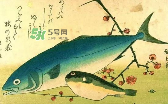 河鲀可以養(yǎng)嗎？河鲀有毒為什么還要吃