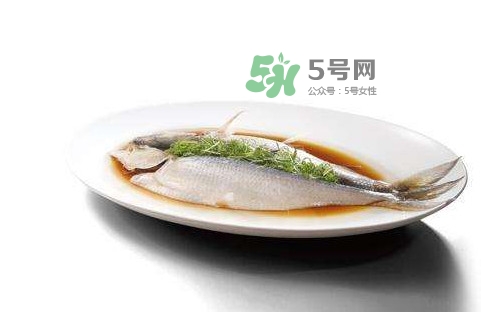 鰣魚刺多嗎？鰣魚可以養(yǎng)殖嗎