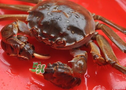 大閘蟹可以帶上高鐵嗎？坐高鐵可以帶大閘蟹嗎？
