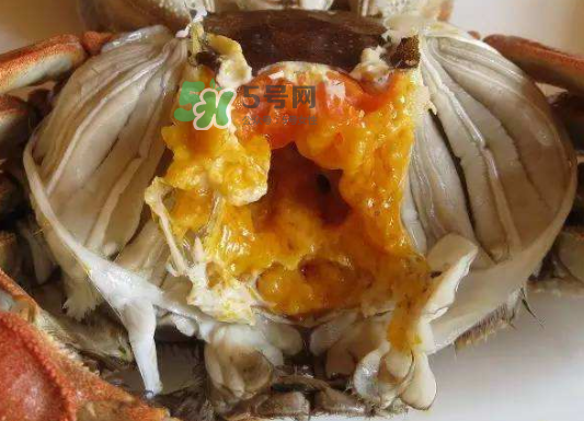 大閘蟹不能和什么一起吃？大閘蟹和什么食物相克？