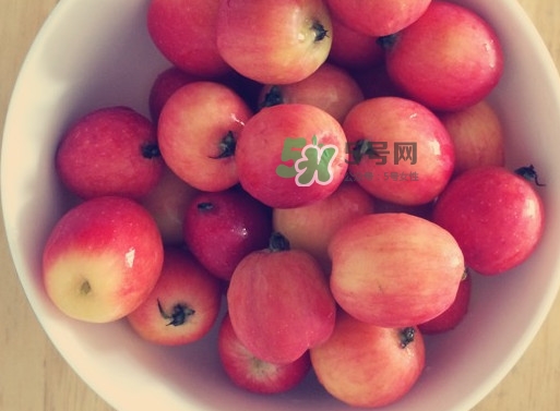 海棠果是涼性的嗎？海棠果是熱性還是涼性