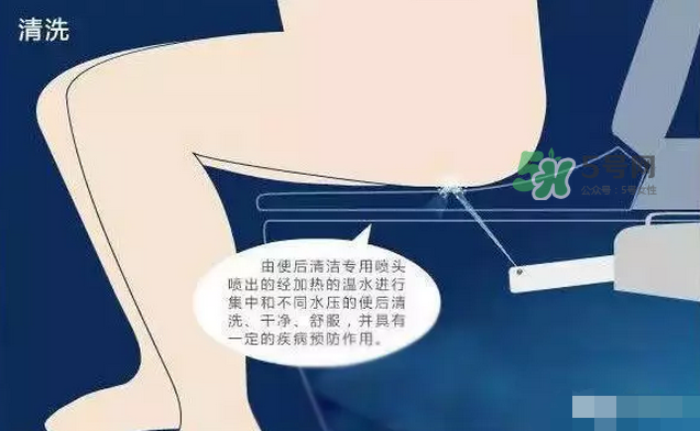 孕期可以蹲著上廁所嗎？孕期上廁所會(huì)壓到寶寶嗎？