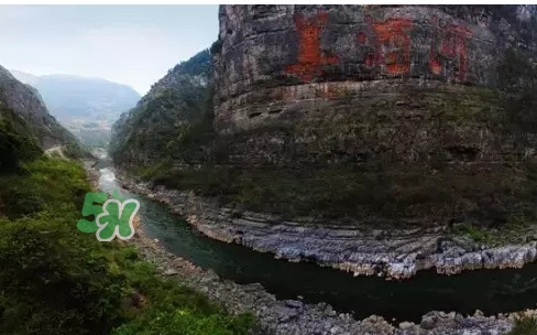 茅臺酒為什么那么貴？茅臺酒為什么這么貴