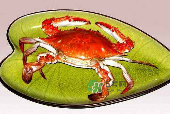 海螃蟹蒸多長時間？海螃蟹蒸多久？