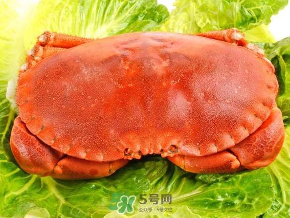 面包蟹和帝王蟹哪個(gè)好吃？面包蟹好吃還是帝王蟹好吃？