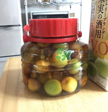 自制青梅酒的做法 青梅酒泡多久可以喝？