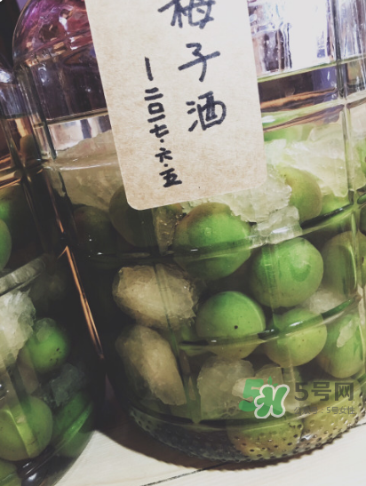 自制青梅酒的做法 青梅酒泡多久可以喝？