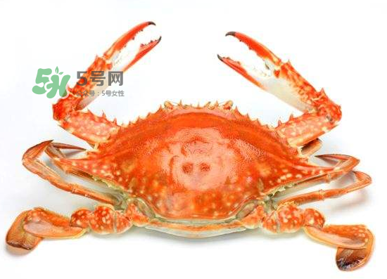 ?花蟹可以放冰箱嗎？花蟹怎么保存才新鮮？