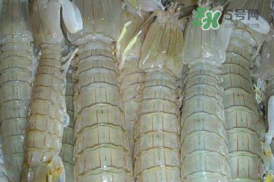 蝦蛄怎么讀？蝦蛄多少錢一斤