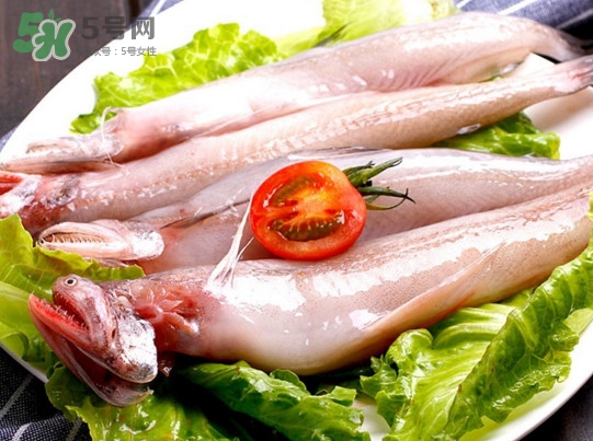 龍頭魚是海魚嗎？龍頭魚是海鮮嗎