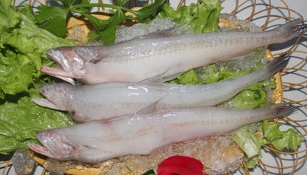 龍頭魚(yú)怎么做好吃？龍頭魚(yú)干怎么做好吃