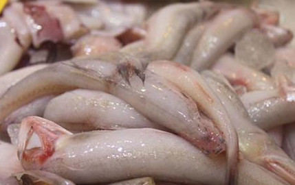 龍頭魚(yú)怎么做好吃？龍頭魚(yú)干怎么做好吃