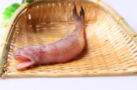 龍頭魚(yú)怎么做好吃？龍頭魚(yú)干怎么做好吃