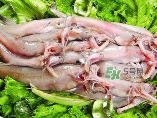 龍頭魚還有別的名嗎？龍頭魚有哪幾種做法