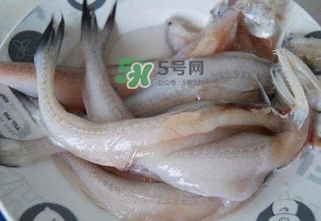 龍頭魚怎么殺？龍頭魚怎么處理？
