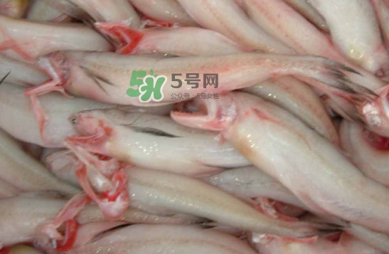 龍頭魚怎么炸？龍頭魚怎么做湯