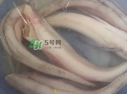 買(mǎi)龍頭魚(yú)怎么挑選？冰凍龍頭魚(yú)怎么去內(nèi)臟