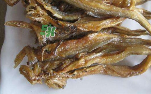 水潺湯怎么做？水潺燉豆腐的做法